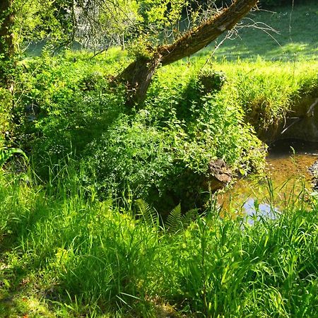 Le Domaine Du Pont Canon Plourivo Экстерьер фото